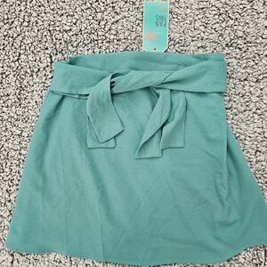 Gianni bini teal skirt